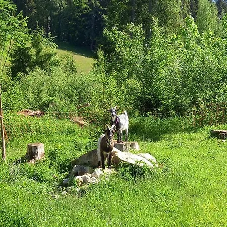 Wieser Homestay szállás
