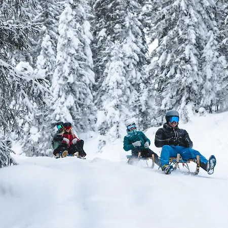 Privat bolig Wieser Ramsau am Dachstein