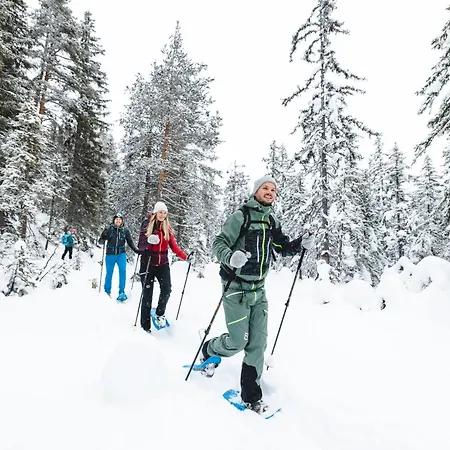 Wieser * Ramsau am Dachstein