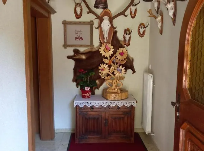 Privat bolig Wieser Ramsau am Dachstein