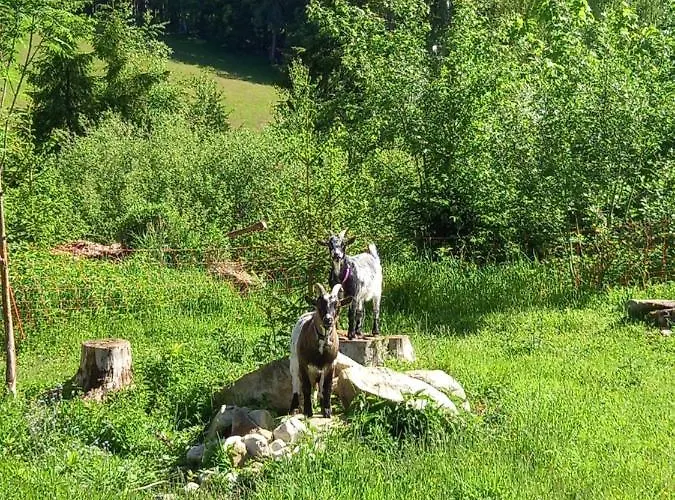 Wieser Alloggio in famiglia