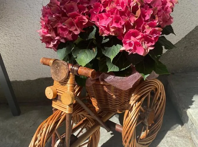 Alloggio in famiglia Wieser *