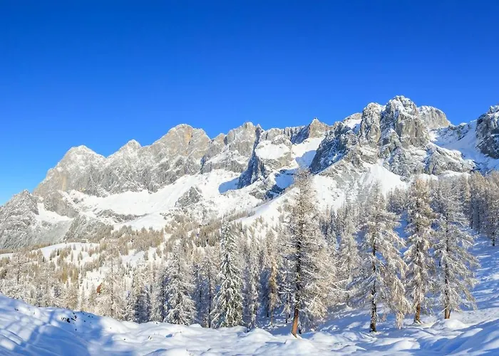 Wieser Ramsau am Dachstein