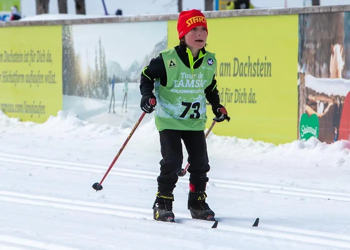 Wieser * Ramsau am Dachstein